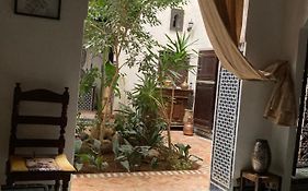 Riad Felloussia